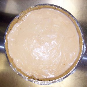 9 inch Ice Cream Pie